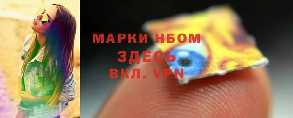 ECSTASY Белокуриха