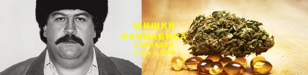 а пвп мука Бородино