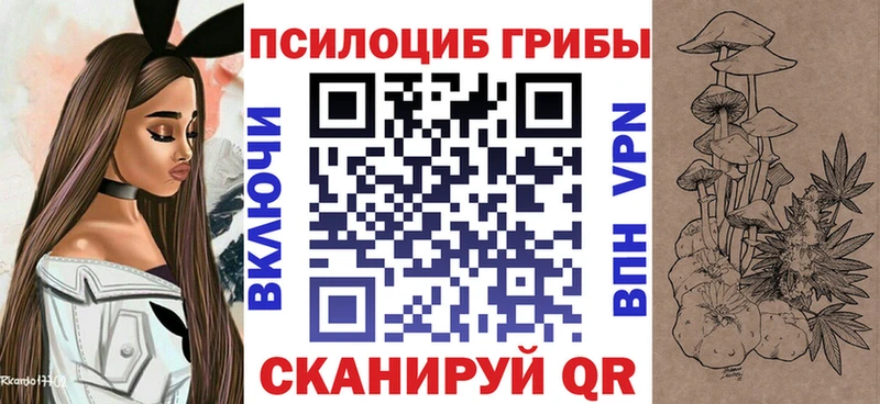 блэк спрут онион  Новокузнецк  Галлюциногенные грибы Psilocybe 
